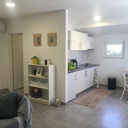 شقة Apartman Zeljka بودغورا المظهر الخارجي الصورة